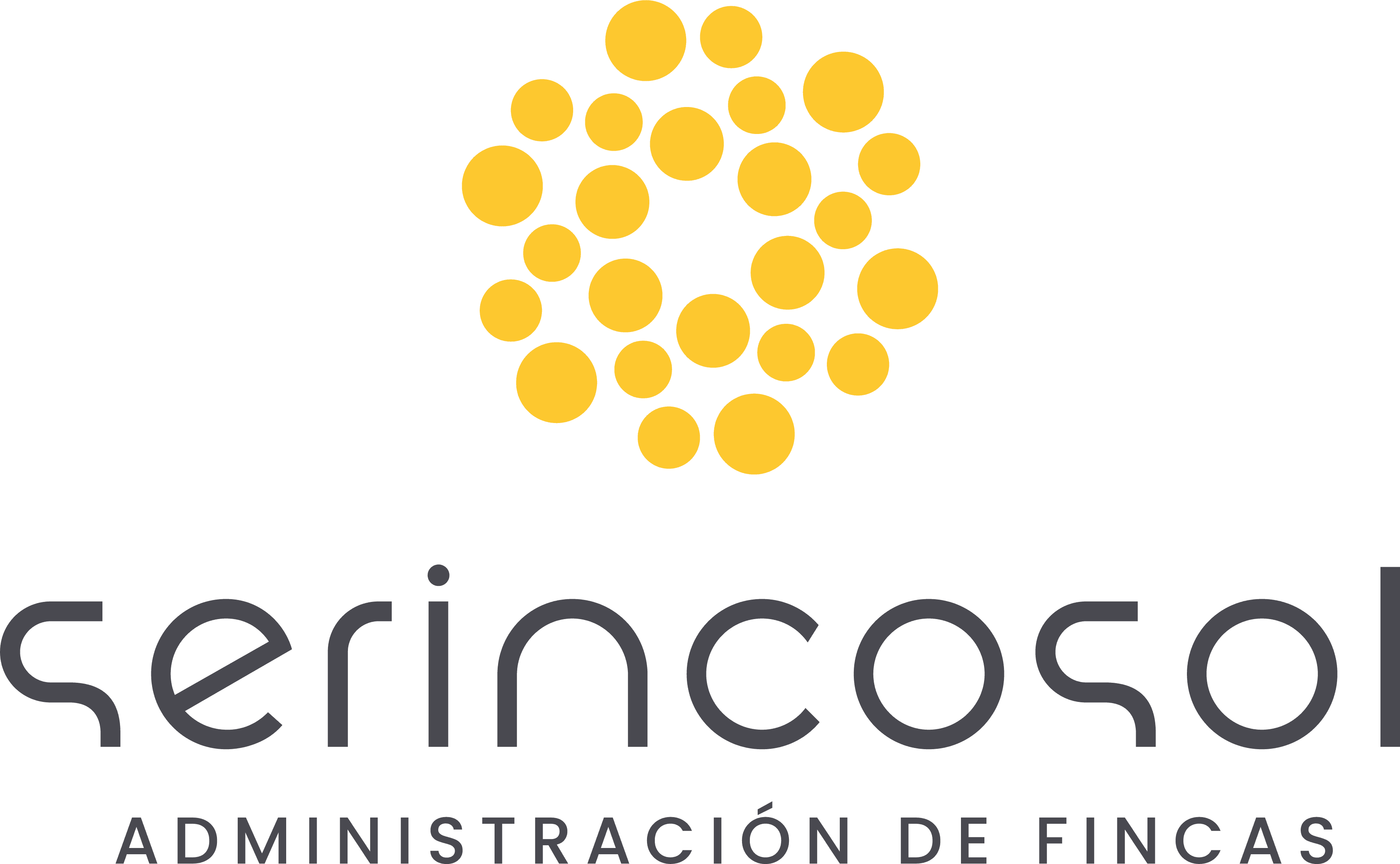 Serincosol logo